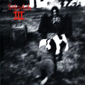 Sebadoh-III RE 2006-LP Vinyl