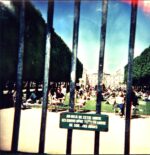 Tame Impala-Lonerism-LP Vinyl 2024