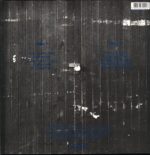 The Wishing Stones-Wildwood-LP Vinyl