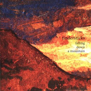 Tindersticks-Falling Down A Mountain-LP Vinyl