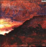 Tindersticks-Falling Down A Mountain-LP Vinyl