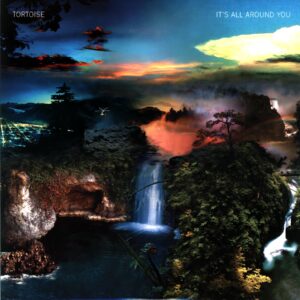 Tortoise-It's All Around You US 2004-LP Vinyl