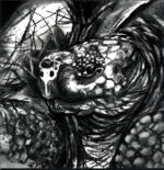 Tortuga-Tortuga-LP Vinyl