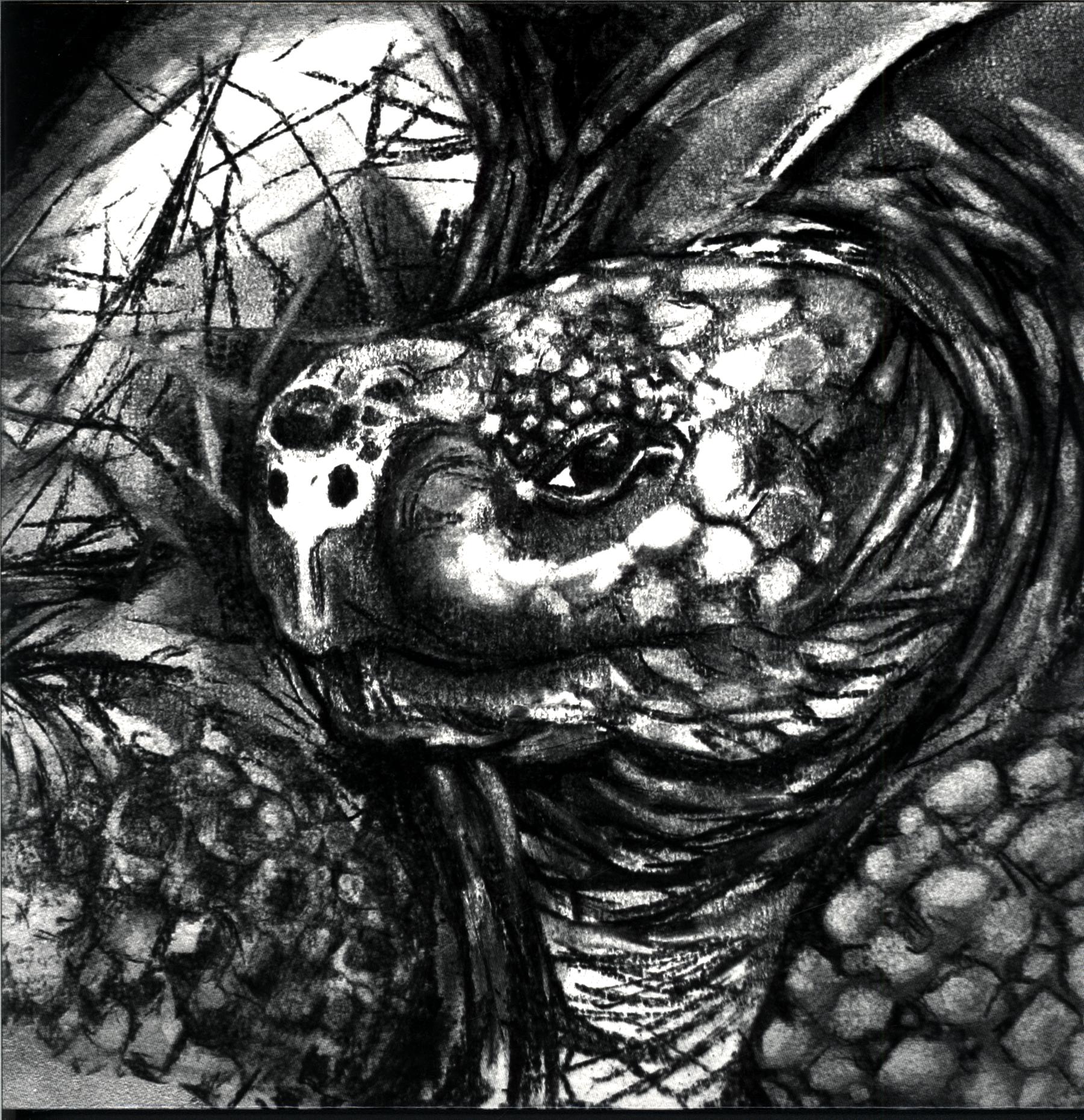 Tortuga-Tortuga-LP Vinyl-1 Tortuga-Tortuga-LP Vinyl