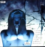 Eminem-The Slim Shady LP-LP Vinyl