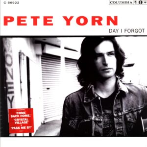 Pete Yorn-Day I Forgot-LP Vinyl