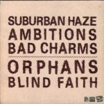 AYS-Suburban Haze-7 Vinyl