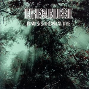 Burn Pilot-Passionate-LP Vinyl