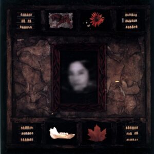 Dazzling Killmen-Face Of Collapse US 1994-LP Vinyl