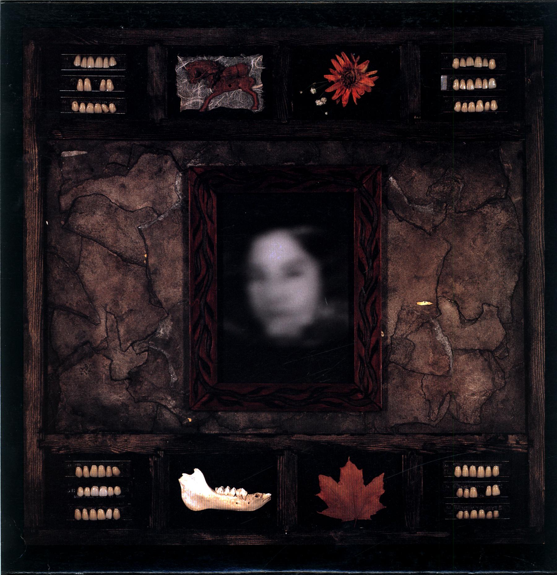 Dazzling Killmen-Face Of Collapse US 1994-LP Vinyl-1 Dazzling Killmen-Face Of Collapse US 1994-LP Vinyl