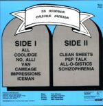 Descendents-All repress-LP Vinyl