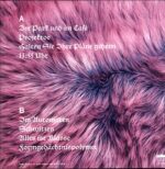 Die Wände-Im Flausch-LP Vinyl