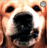 Gold Roger-Goldie-LP Vinyl