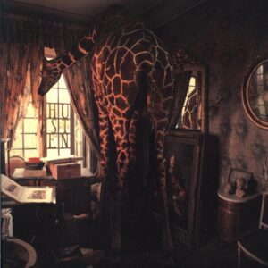 Husten-Zurück Zum Heißen-gold 12 Vinyl