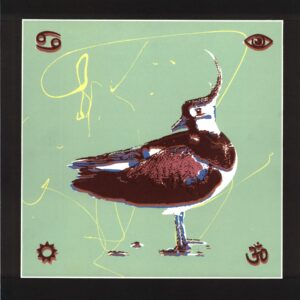 Lamp Of The Universe-Earth Spirit And Sky-LP Vinyl