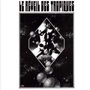 Le Réveil Des Tropiques-Big Bang-white LP Vinyl