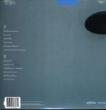 Pernice Brothers-Who Will You Believe turquoise-LP Vinyl