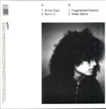 RRoxymore-Perpetual Now-LP Vinyl