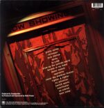 Soundgarden-Down On The Upside-LP Vinyl