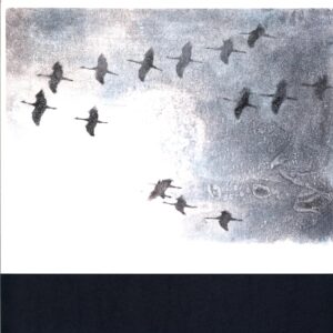 Stephen O'Malley-Gruidés -LP Vinyl