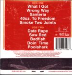 Sublime-Greatest Hits-LP Vinyl