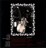 The Verdicts-Rock N' Roll Noise Makers pink-LP Vinyl