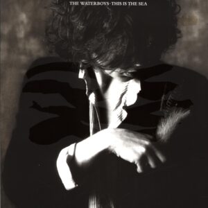 The Waterboys – This Is The Sea-LP Vinyl