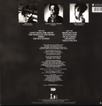 The Waterboys – This Is The Sea-LP Vinyl