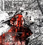 The White Stripes-White Blood Cells UK 2001 red-LP Vinyl