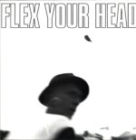 Various-Flex Your Head Reissue $ 8.00-LP Vinyl