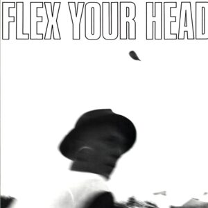 Various-Flex Your Head Reissue $ 8.00-LP Vinyl