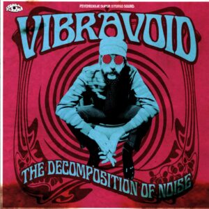 Vibravoid-The Decomposition Of Noise signed poster-LP Vinyl