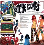 Vibravoid-The Decomposition Of Noise signed poster-LP Vinyl