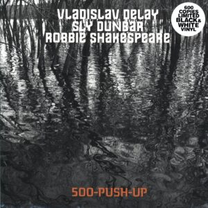 Vladislav Delay-500-Push-Up-LP Vinyl