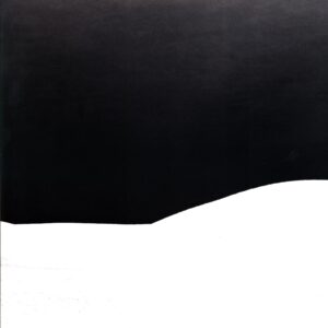 White Hills-H-p1 signed-LP Vinyl