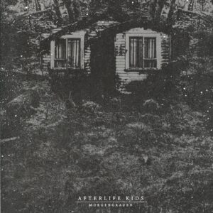 Afterlife Kids-Morgengrauen grau-LP Vinyl