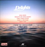 Delights-If Heaven Looks A Little Like This-LP Vinyl