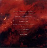 Immolation-Descent-LP Vinyl Transparent Red With Black Marble