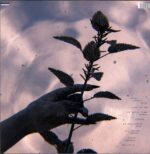 Poor Creature-All Smiles Tonight yellow-LP Vinyl