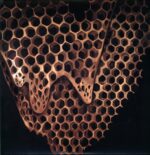 Telefon Tel Aviv-Map Of What Is Effortless-12 Vinyl
