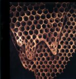 Telefon Tel Aviv-Map Of What Is Effortless-12 Vinyl