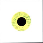Almighty Dread-Mr. D-Jay-7 Vinyl