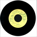 Almighty Dread-Mr. D-Jay-7 Vinyl - Image 4