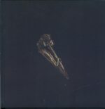 Black Holes Are Cannibals-Surfacer-LP Vinyl