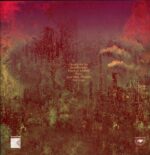 Mugstar-Graft-LP Vinyl