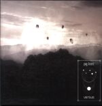 Pg.lost-Versus-clear LP Vinyl