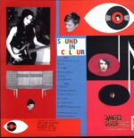 The Bristols-Introducing...-LP Vinyl