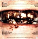 Ty Segall-Fudge Sandwich-LP Vinyl