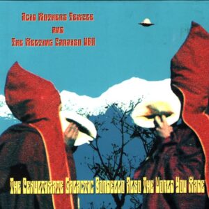 Acid Mothers Temple and The Melting Paraiso UFO-The Penultimate Galactic Bordello Also The World You Made-CD