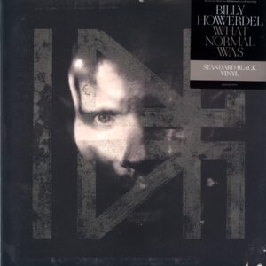 Billy Howerdel-What Normal Was-LP Vinyl